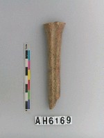 藏品(獸骨)的圖片